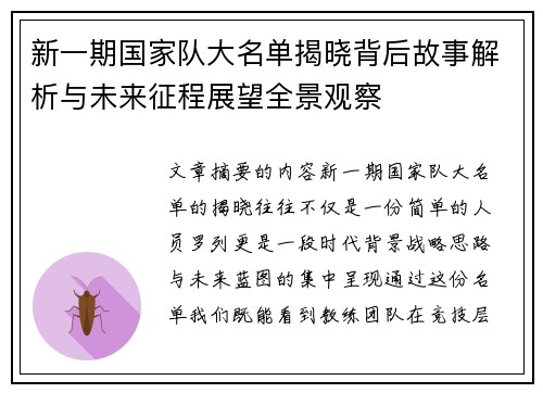 新一期国家队大名单揭晓背后故事解析与未来征程展望全景观察